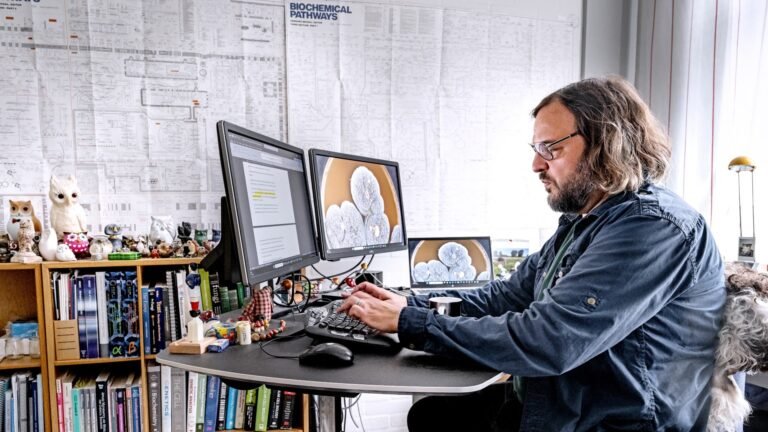 Svampeforsker-headerfoto