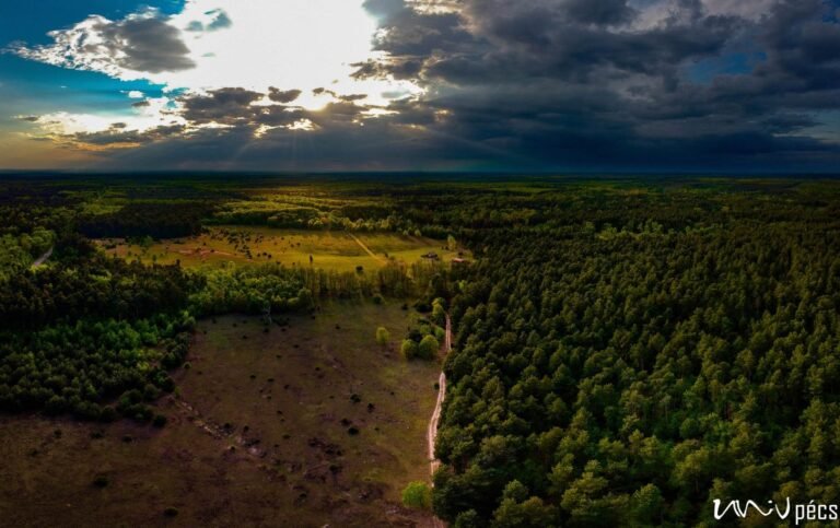 20190505-0012-1361-termeszet-duna-drava-nemzeti-park-csortos-szabolcs