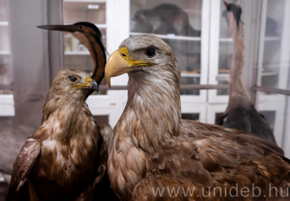 20260212_ROHU Regionális Határ-menti Vadvilág Monitoring Központ_10_8359_DI.JPG