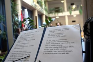 626039678_1558981106229860_4456611800068179139_n