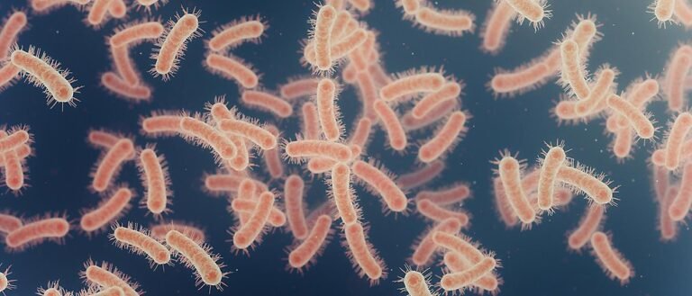 E.coliGettyImages-1325900337_1932