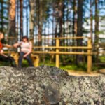 Kajaanin-terveysmetsä-Kuva-Jari-Lindeman-LUKE_0