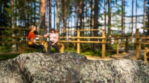 Kajaanin-terveysmetsä-Kuva-Jari-Lindeman-LUKE_0