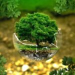 environmental-protection-326923_1280-1024x682-1-770x458