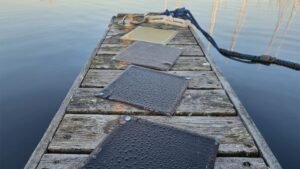 furbio_satamakomposiitit_1920x1080_edit