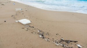 mp20211212-plastic-bottles-and-other-waste-on-sea-beach_1