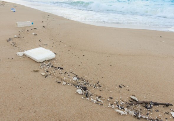 mp20211212-plastic-bottles-and-other-waste-on-sea-beach_1