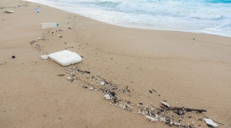 mp20211212-plastic-bottles-and-other-waste-on-sea-beach_1