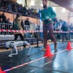 22f9497d51324cab819e81521dda5897-768x512