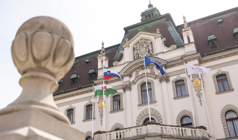 Bor-Slana39_STA_800x470__ExtRewriteWyJwbmciLCJ3ZWJwIl0