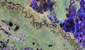 Naslovna-fotografija-800x470__ExtRewriteWyJqcGciLCJ3ZWJwIl0