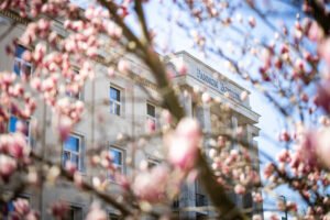 Pesthy Marton -IMG_9601 -20250403