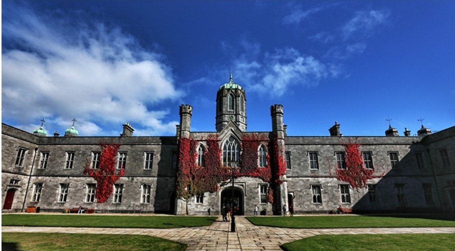 Screenshot_20260331_101348_Chrome