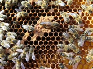 csm_Hniloba_foto_1_d53d05c776