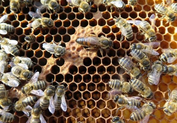 csm_Hniloba_foto_1_d53d05c776