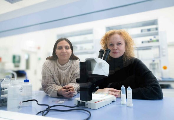 csm_uni-graz-freitak-nyckees-ameisengesundheit-260203_87d96c99a7