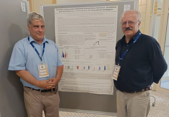 konferencia-linkpost