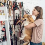 66b98a2b86d806b006d66d9f_668d8c2ae59573a632afe69d_668d0caecf79a45402642378_lWm7j4