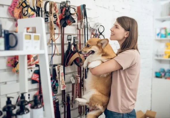 66b98a2b86d806b006d66d9f_668d8c2ae59573a632afe69d_668d0caecf79a45402642378_lWm7j4