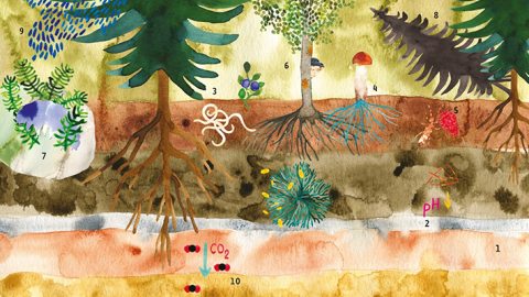 MUUMAA-opetusmateriaalit