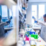 RS209613__19A6219_scl