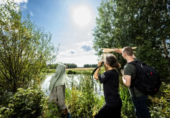 Yliopiston kv-kuvasto Viikin niityt-31 (1).jpg