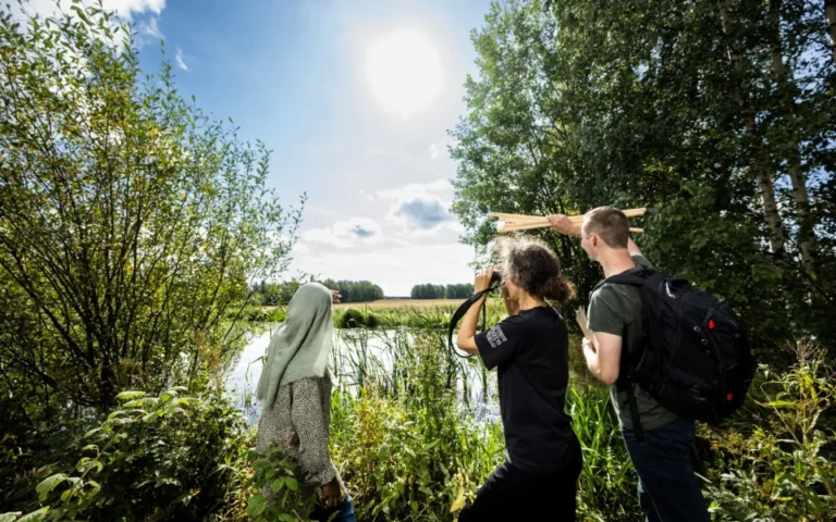 Yliopiston kv-kuvasto Viikin niityt-31 (1).jpg