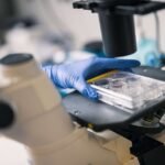 csm_058_krebsforschung_78b7486ed5