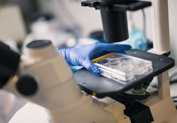 csm_058_krebsforschung_78b7486ed5