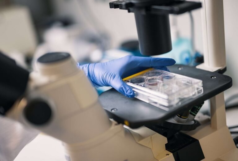 csm_058_krebsforschung_78b7486ed5